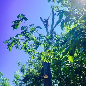 Meet your Posher, Luis roberto